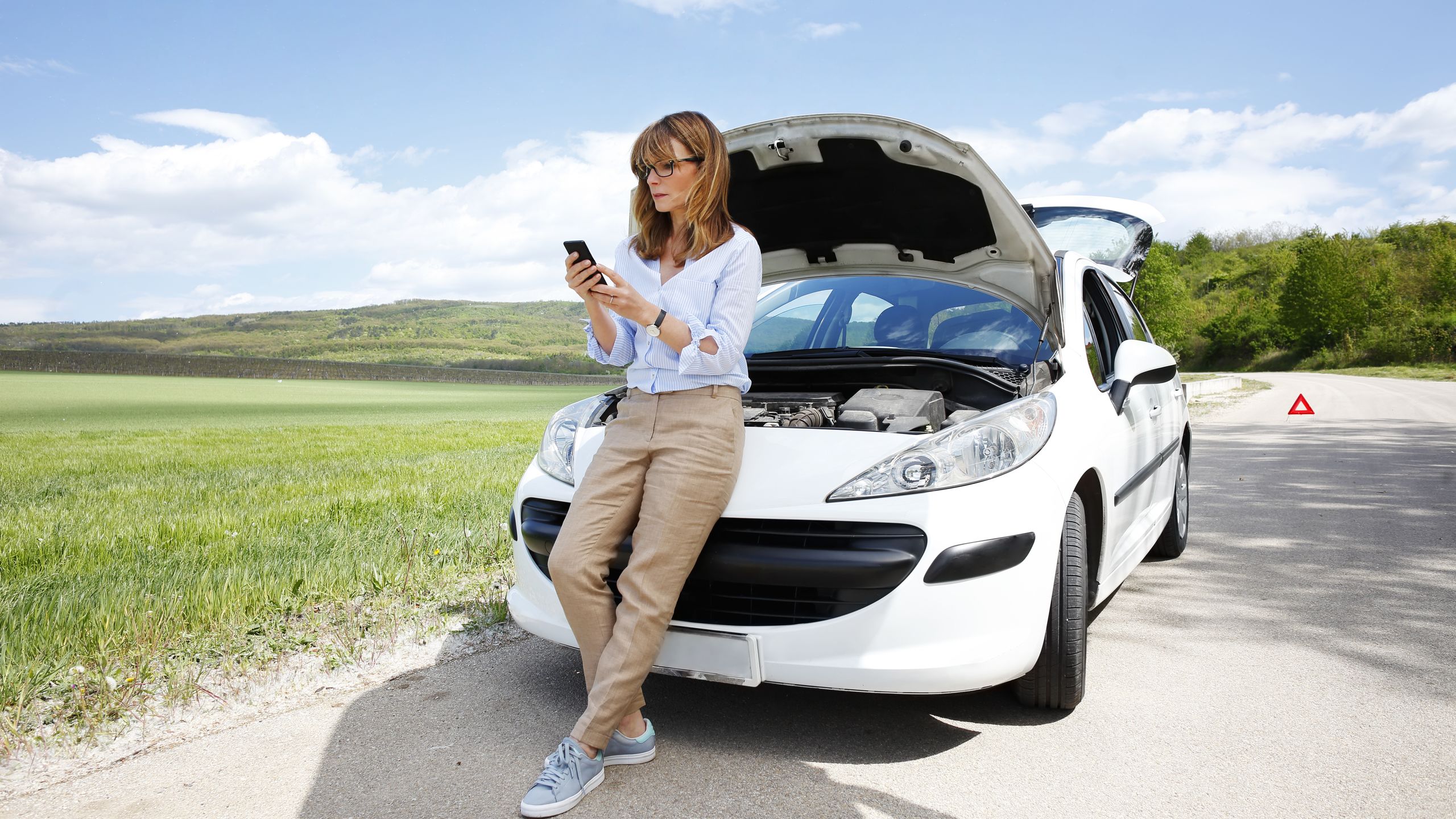 AXA Luxembourg : auto, que faire si j’ai heurté un gibier ?