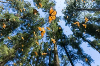 Changement climatique et biodiversité AXA Luxembourg