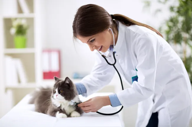 Professions medicales Atouts Pro