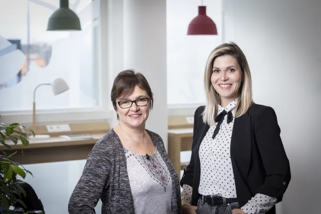Agence AXA Faterl & De Amorim 